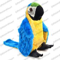 Mesmerising Multi Coloured Macaw