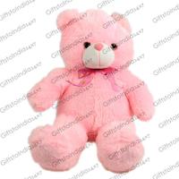 Pink Teddy Bear