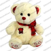 Adorable White Teddy Bear