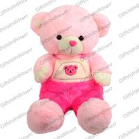Very Cute Pink Teddy Bear