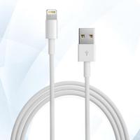 Apple Lightning Connector USB Cable