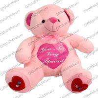 Cute Pink Teddy Bear