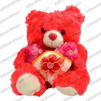 Cute Red Teddy Bear