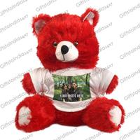 Red Personalized Teddy Bear