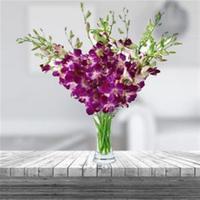 Purple Orchid in a Vase (Midnight)