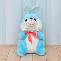 White and Sky Blue Bunny