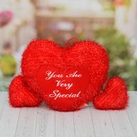Gorgeous Red Heart Cushion