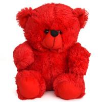 Red Teddy (Express)