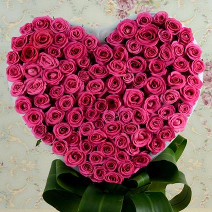Pink Rose Beauty