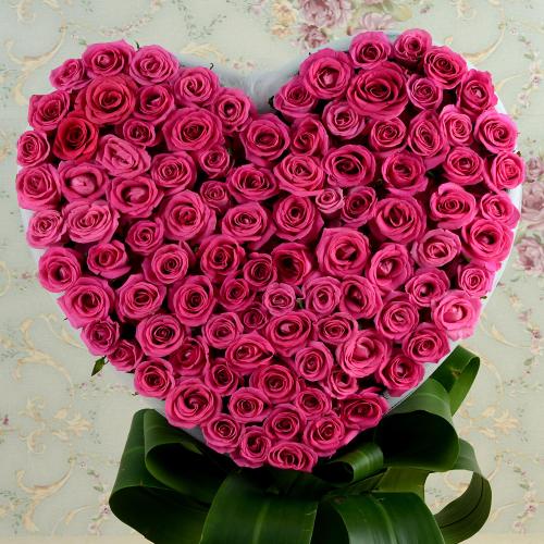 Pink Rose Beauty