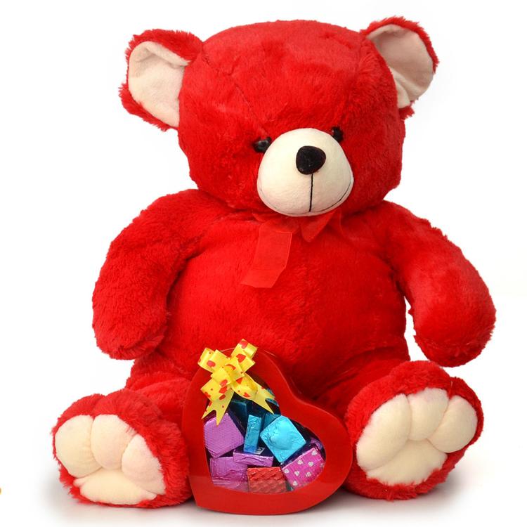 Lovely Teddy Bear with Chocolates