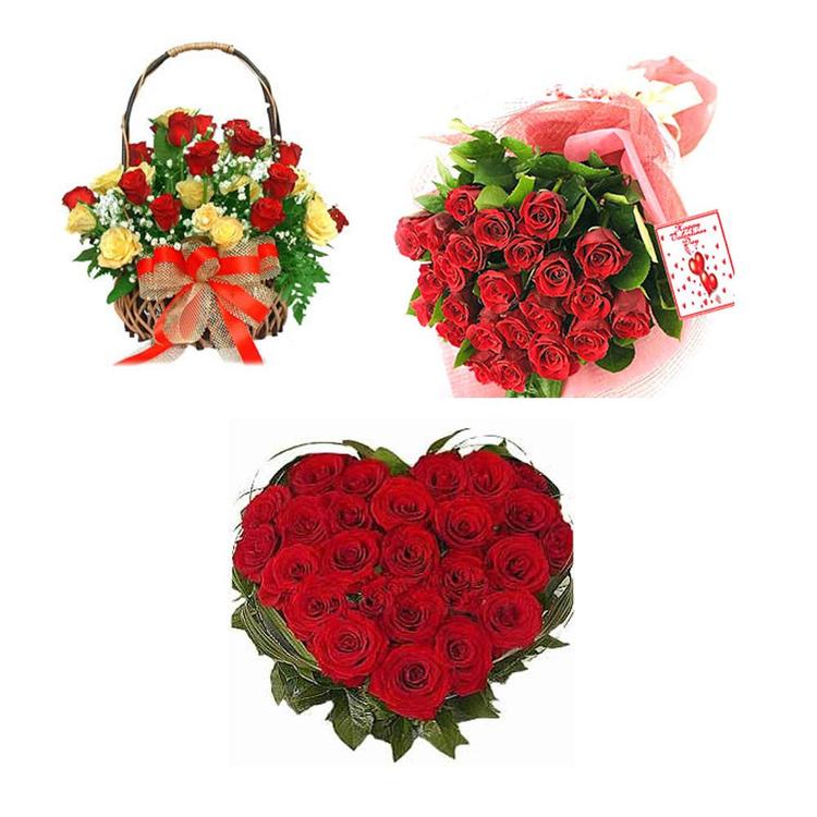 Serenade of Red and Yellow Roses