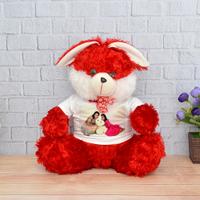 Personalized Red Rabbit Soft Toy