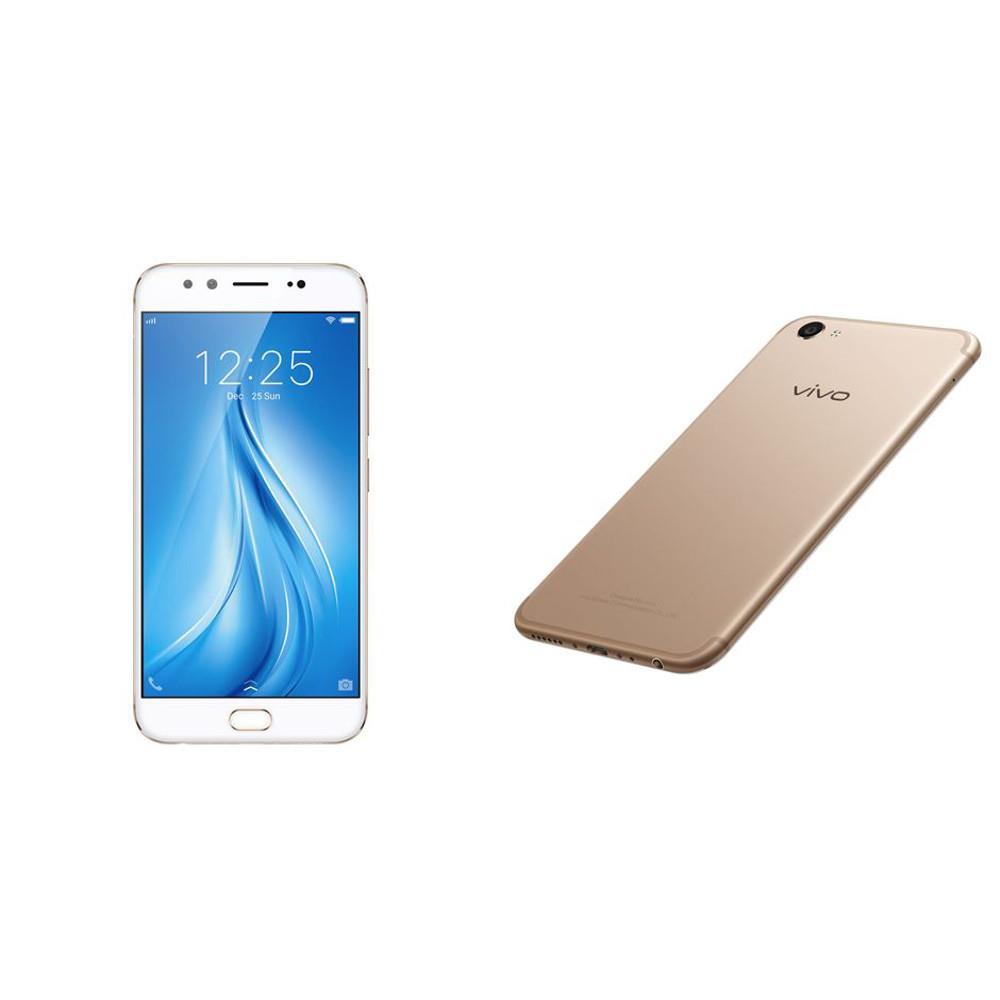 vivo y55s crown gold