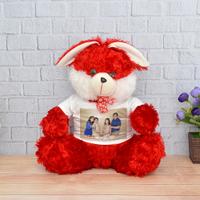 Red Rabbit Personalized Teddy