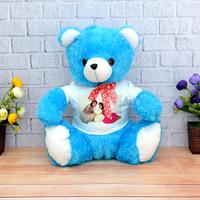 Personalized Blue Teddy