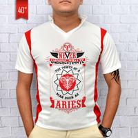 Aries Red T Shirt 40 cm