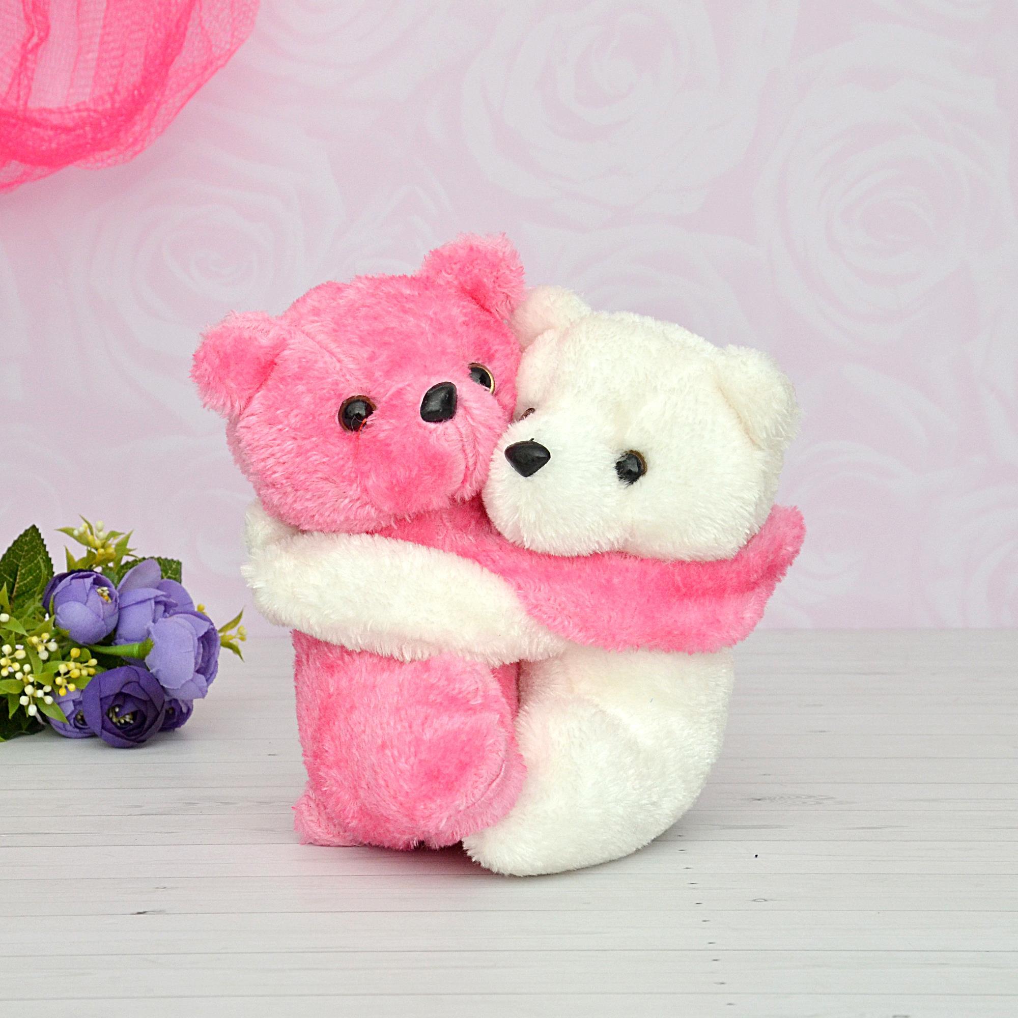 Pair of Hugging Teddy