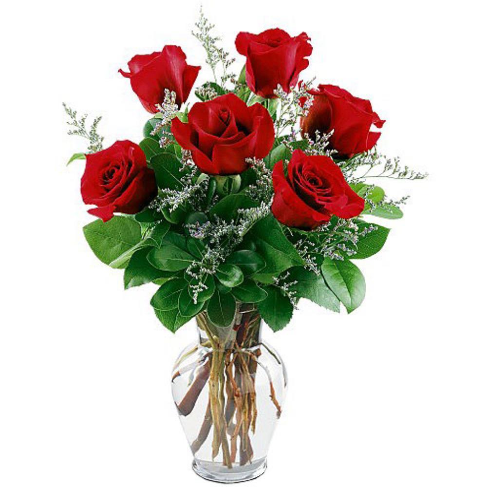 6-pcs-red-roses-in-vase-flowers-to-new-delhi