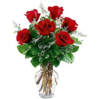 6 Pcs Red Roses in Vase