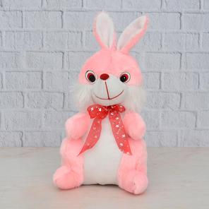Pink & White Bunny Pink & White Bunny