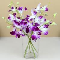 Purple Orchid in a Vase