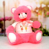 I Love You Art Pink Teddy