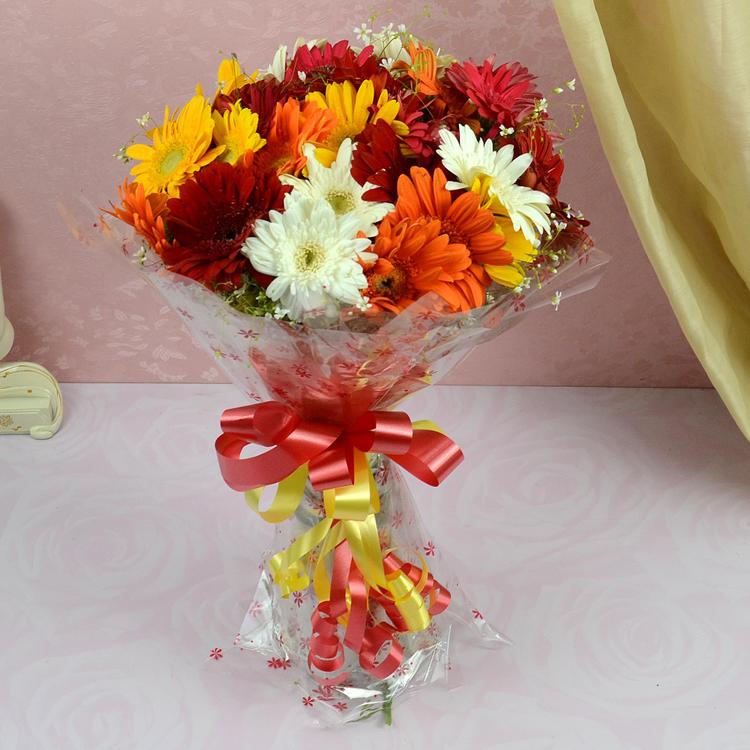 Multicolor Gerbera Bouquet