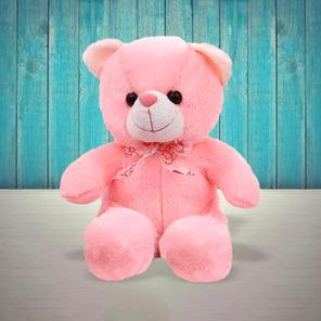 Pink Teddy Bear Express Delivery