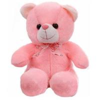 Pink Teddy 18 inch