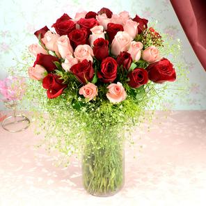 36 Pink & Red Roses in a Vase 36 Pink & Red Roses in a Vase