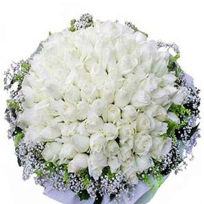 80 Pcs White Rose Bouquet 80 Pcs White Rose Bouquet