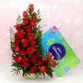 Red Roses & Celebrations