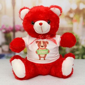 Cute Red Sorry Teddy Bear Cute Red Sorry Teddy Bear