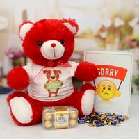 Sorry Teddy With Greeting Card & Chocolates