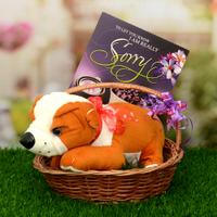 Puppy In a Round Basket With Sorry Card