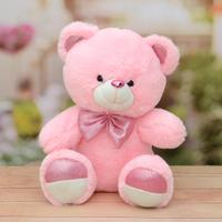 Adorable & Soft Pink Teddy Bear 