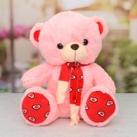Pink & Red Cute Teddy Bear