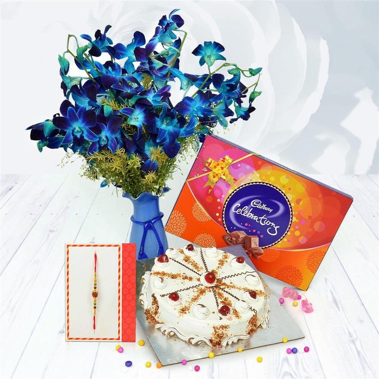 Rudraksh Rakhi Celebrations