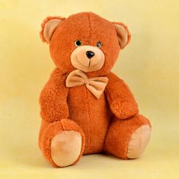 Brown Teddy 12 Inch