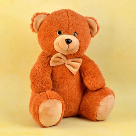 Brown Teddy 12 Inch