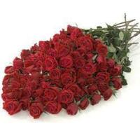 150 loose Red Roses with Stem