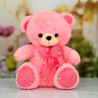 Pretty Pink Plush Teddy