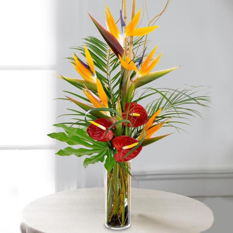 BoP & Anthuriums (Midnight)