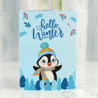 Hello Winter Greetings Card