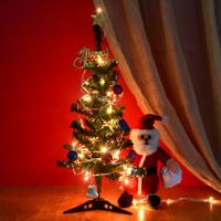 Christmas Spirit Tree and Santa