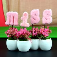 "Miss" Bonsai Set