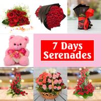 Cute 7 Day Valentine's Serenade
