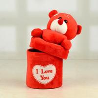 Red Teddy I Love You Box