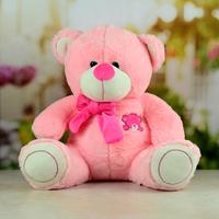 Gorgeous Pink Teddy